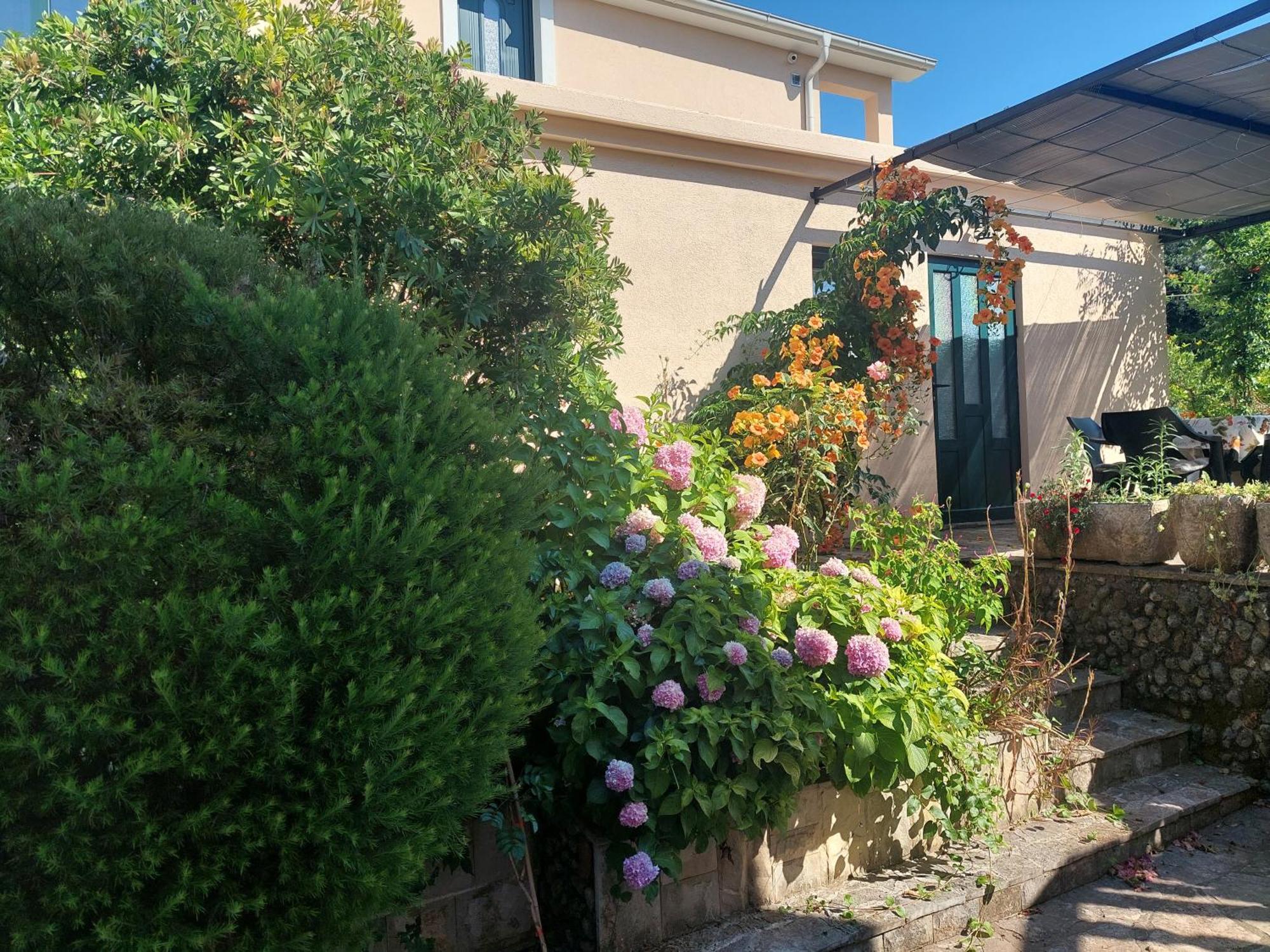 Kjara Apartments Tivat Eksteriør billede