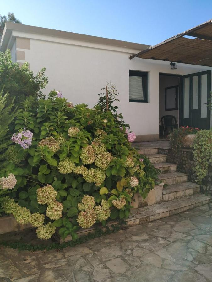 Kjara Apartments Tivat Eksteriør billede