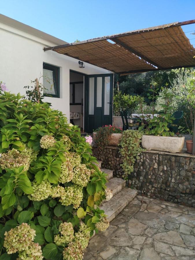 Kjara Apartments Tivat Eksteriør billede